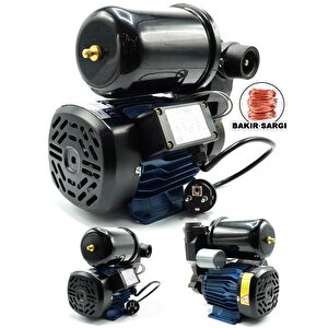 Dgp130 Sıcak Suya Dayanıklı Bakır Sargı 0.5 Hp Paket Hidrofor Su Pompası