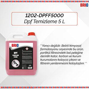Dpf Dizel Partikül Filtre Temizleme 5 L