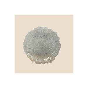 Eshome Tabak 41cm Şeffaf