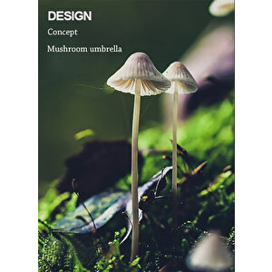 Simaavize Modern Black Led Aplik -gün Işığı