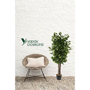 Siyah Saksıda Yoğun Yapraklı 100 Cm Yapay Benjamin Ağacı