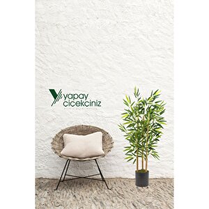 Yapay Yoğun Yapraklı Dekoratif Bambu Ağacı 3 Gövde 100cm