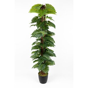 Yapay Monstera Ağaci 150 Cm