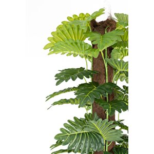 Yapay Monstera Ağaci 150 Cm