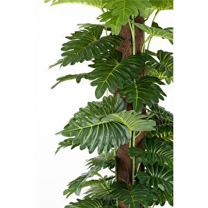 Yapay Monstera Ağaci 150 Cm
