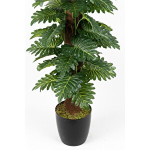 Yapay Monstera Ağaci 150 Cm