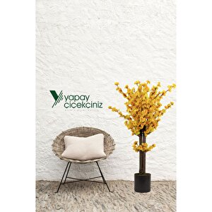 Gri Saksıda 100 Cm Sarı Bahardalı