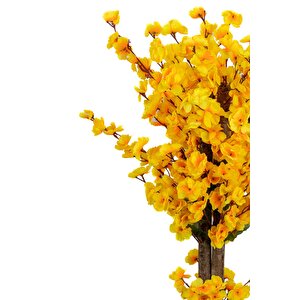 Gri Saksıda 100 Cm Sarı Bahardalı