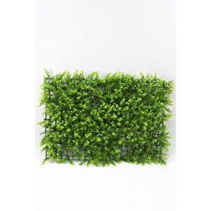 Yapay Duvar Kaplama Panel Sarkan Şimşir Tabaka 40x60 Cm Yeşil Dik Duvar Uygulama