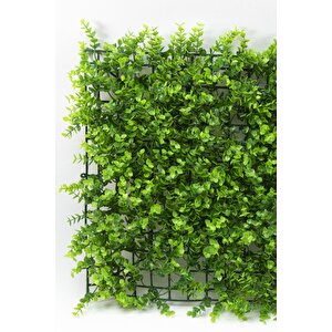 Yapay Duvar Kaplama Panel Sarkan Şimşir Tabaka 40x60 Cm Yeşil Dik Duvar Uygulama