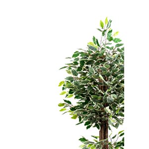 120 Cm Yeşil Beyaz Yapay Benjamin Ağacı