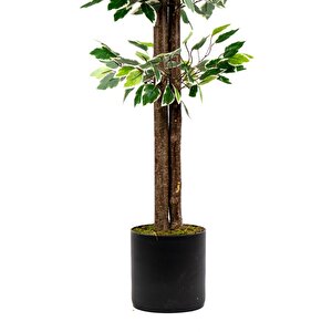 120 Cm Yeşil Beyaz Yapay Benjamin Ağacı