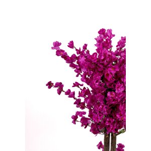 Gri Saksıda Mor Renkli Yapay Bahardalı Ağacı 100 Cm