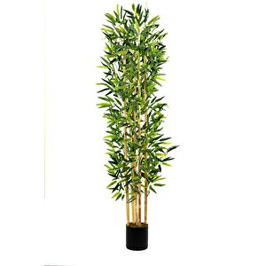 5 Gövdeli Yoğun Yapraklı 150 Cm Yapay Bambu Ağacı