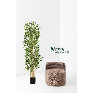5 Gövdeli Yoğun Yapraklı 150 Cm Yapay Bambu Ağacı