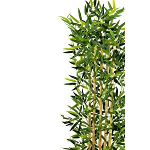 5 Gövdeli Yoğun Yapraklı 150 Cm Yapay Bambu Ağacı