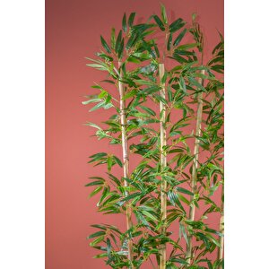 170 Cm Bambu Seperatör