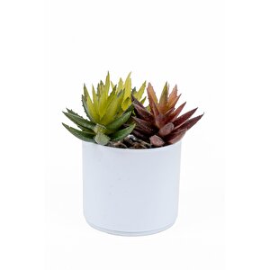 Beyaz Renkli Saksıda Yapay Kaktüs Sukulent