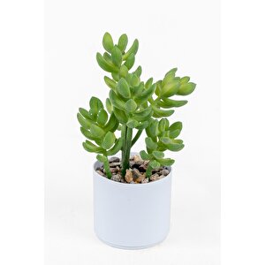 Beyaz Renkli Saksıda Yapay Kaktüs Sukulent