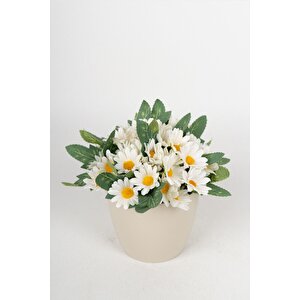 Beyaz Saksıda Yapay Papatya