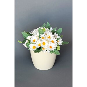 Beyaz Saksıda Yapay Papatya