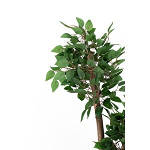 Yoğun Yaprakli 2 Gövde Yapay Benjami̇n Ağaci 110 Cm