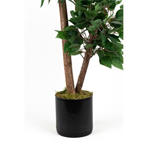 Yoğun Yaprakli 2 Gövde Yapay Benjami̇n Ağaci 110 Cm
