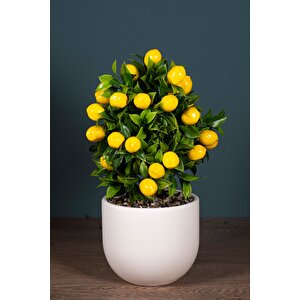Beyaz Beton Saksıda Yapay Limon Ağacı