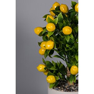 Beyaz Beton Saksıda Yapay Limon Ağacı