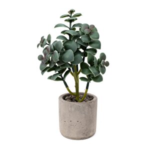 Beton Saksıda Yapay Kaktüs