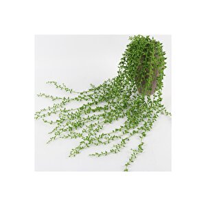 Sarkan Yapay Tesbih Çiçek 70 Cm