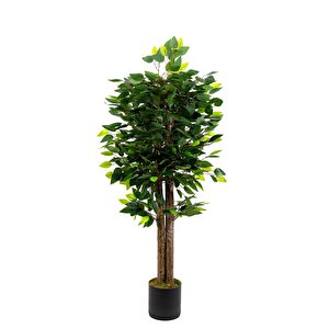 120 Cm Benjamin Ağacı