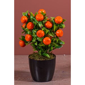 Siyah Saksıda Yapay Mandalina Ağacı