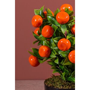 Siyah Saksıda Yapay Mandalina Ağacı