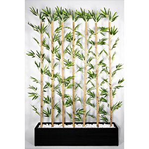 170 Cm Bambu Seperatör
