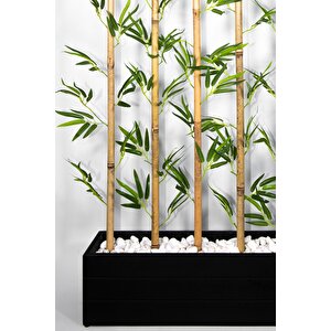 170 Cm Bambu Seperatör