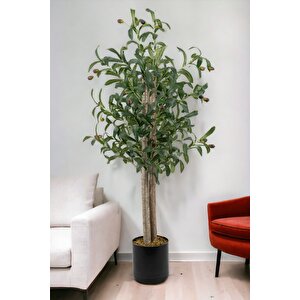 Siyah Saksıda 100 Cm Yapay Zeytin Ağacı