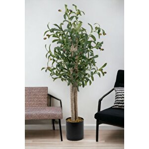 Siyah Saksıda 100 Cm Yapay Zeytin Ağacı
