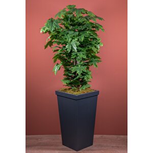 140 Cm Yeşil Çınar Ağacı