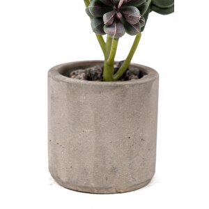 Beton Saksıda Yapay Kaktüs
