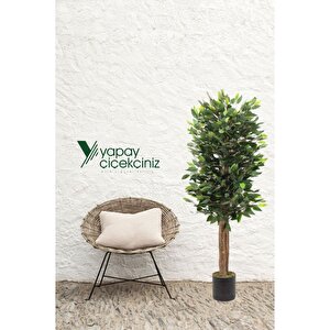 Siyah Saksıda Yoğun Yapraklı 150 Cm Yapay Benjamin Ağacı