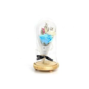 Fanus Gül 28/14cm Cam Fanus Led Işıklı Hediyelik