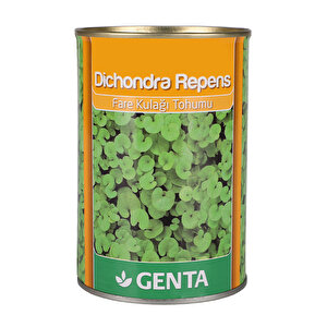 Dichondra Repens Fare Kulağı Kundura Çimi Tohumu 250 Gr
