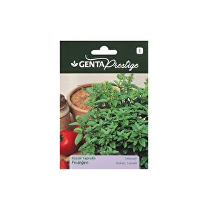 Sebze Tohumu Küçük Yapraklı Fesleğen