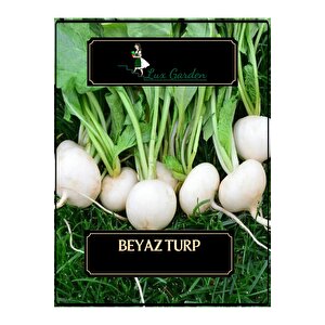 Beyaz Turp Tohumu 120 Adet