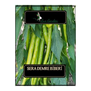 Sera Demre Biberi Tohumu 100 Adet