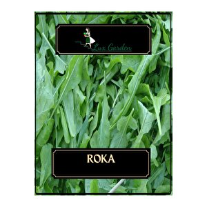 Roka Tohumu 360 Adet