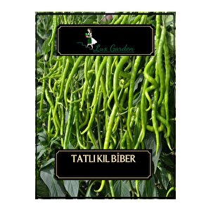 Tatlı Kıl Biber Tohumu 65 Adet