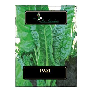 Pazı Tohumu 40 Adet