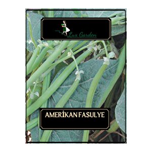 Amerikan Atlantis Fasulye Tohumu 15 Adet